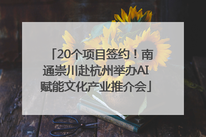 20个项目签约！南通崇川赴杭州举办AI赋能文化产业推介会