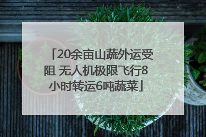 20余亩山蔬外运受阻 无人机极限飞行8小时转运6吨蔬菜