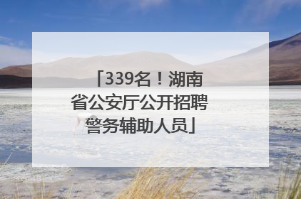 339名！湖南省公安厅公开招聘警务辅助人员