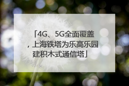4G、5G全面覆盖，上海铁塔为乐高乐园建积木式通信塔