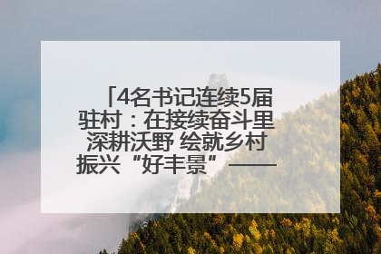 4名书记连续5届驻村：在接续奋斗里深耕沃野 绘就乡村振兴“好丰景”——浦发银行南京分行助力脱贫攻坚、帮促乡村振兴记事（二）