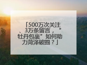 500万次关注、3万条留言，“牡丹包裹”如何助力菏泽破圈？