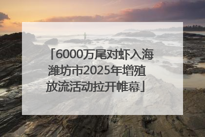 6000万尾对虾入海 潍坊市2025年增殖放流活动拉开帷幕