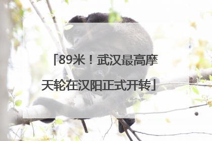 89米！武汉最高摩天轮在汉阳正式开转