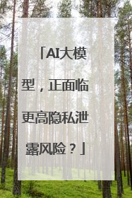 AI大模型，正面临更高隐私泄露风险？