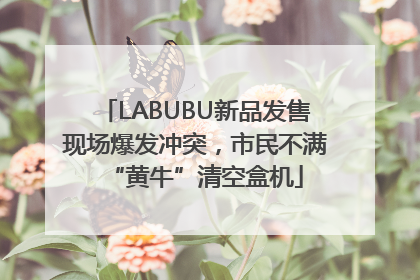 LABUBU新品发售现场爆发冲突，市民不满“黄牛”清空盒机
