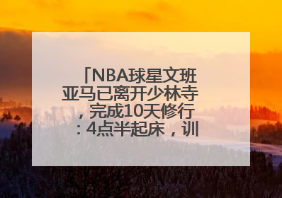 NBA球星文班亚马已离开少林寺，完成10天修行：4点半起床，训练强度高于武僧